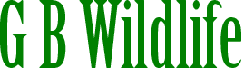 British Wildlife and Nature