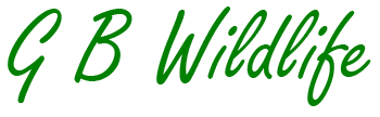 British Wildlife, Nature and Outdoor Living